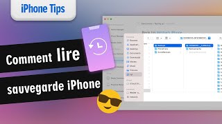 Comment lire la sauvegarde iPhone directement [upl. by Kahaleel]