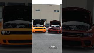 DODGE DEMON and HELLCAT JAILBREAK Supercharge Whine srt dodge car shorts asmr [upl. by Amethist]