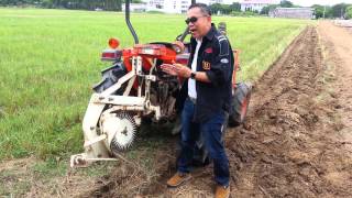 เครื่องไถหัวหมู Moldboard plow for paddy field in Thailand [upl. by Hallee559]