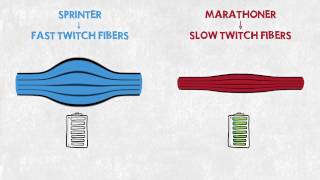 Sprinter vs Marathoner [upl. by Bray]