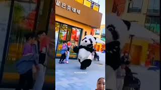 panda 🐼 funny video love funny cutebaby cuteanimal dance cutepet [upl. by Magnien900]