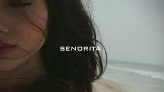 SENORITA SLOWED REVERB [upl. by Siravaj]