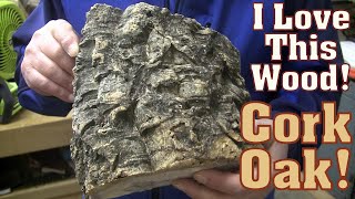 WHOA❗ Cork From A TREE❓🆗  Wood Turning [upl. by Charley]