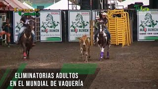 Eliminatorias Adultos en el Mundial de Vaquería  TvAgro por Juan Gonzalo Angel Restrepo [upl. by Atnoek964]