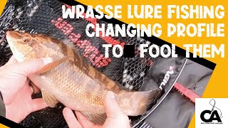 LURE FISHING FOR WRASSE  HRF  Changing Lure Profile to fool them [upl. by Siravaj]