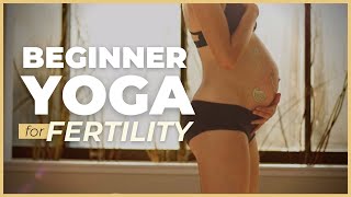 BEGINNER YOGA FOR FERTILITY  Egg Health  Ovulation Regulation Yoga to Get Pregnant Gentle 20 Min [upl. by Nike]