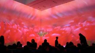 Pipilotti Rist at MOMA [upl. by Lauro]