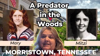 A Predator in the Woods in Morristown Tennessee [upl. by Mccallum]