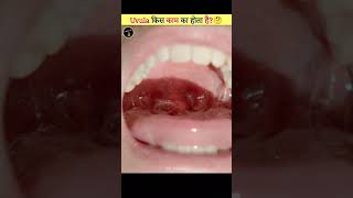 Uvula कैसे काम करता है  How Uvula Works  shorts viral [upl. by Marpet]