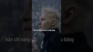 Voldemort vs Grindelwald  Ai mạnh hơn [upl. by Ahsaelat]