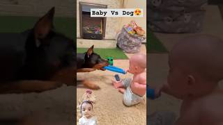 Baby or dog 💪 dog baby pets petlovers puppy love yttrending viralvideo [upl. by Tybald]