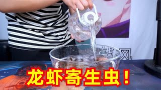 网传小龙虾里面居然有寄生虫，这是真的吗？【开箱小钻风】 [upl. by Ifen704]