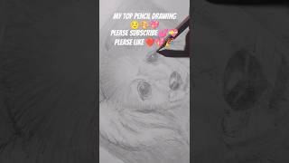 my top pencil drawing 🎨 shorts drawing youtubeshorts [upl. by Ede]