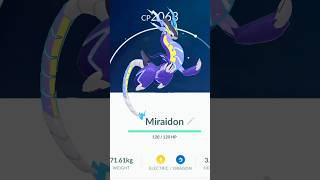 look at Miraidon in pokemon go [upl. by Harald19]