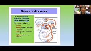 CURSO NACIONAL quotPRUEBAS FUNCIONALES PARA LOS EXÁMENES DE SALUD OCUPACIONALquot DÍA 1 [upl. by Gerhardt675]