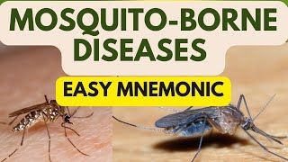 Mosquito Borne Diseases Easy Mnemonics for Anopheles Culex Aedes and Mansonia [upl. by Lewan]