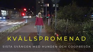 20240918 KVÄLLSPROMENAD  En sista sväng med hunden och hämtar Temupaket hos Coop [upl. by Eckblad]