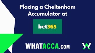 Place a Cheltenham accumulator at bet365  Easy guide from WhatAccacom [upl. by Iuq]