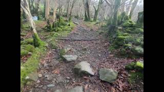 Beddgelert forest climb [upl. by Schwing]