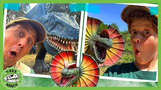 Park Ranger Aaron Vs Park Ranger LB Dinosaur Hide and Seek  TRex Ranch Dinosaur Videos for Kids [upl. by Ydnih]