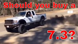 Buying a 73 Powerstroke The Sad Truth of the 73 Powerstroke [upl. by Cranston]