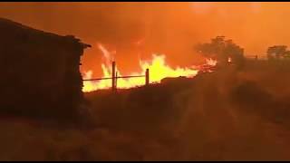 Repórter da CMTV larga microfone e ajuda bombeiros no combate a incêndio [upl. by Hughett930]