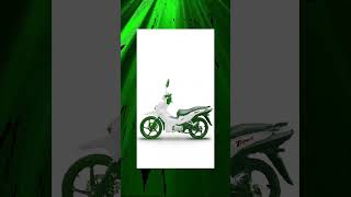 CHAMP Motor TOP 5 gasoline motorcycle T REX Charming factory [upl. by Ailongam]