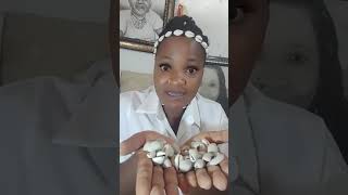 how to use cowries to attract money to your life [upl. by Mccollum]