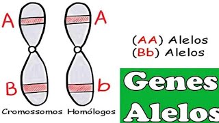 Biologia 👉 Albinismo Genótipo Fenótipo e o Meio Ambiente Questão resolvida [upl. by Elleval482]