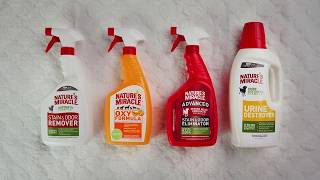 How To Use Natures Miracle Pet Stain and Odor Solutions [upl. by Walcott]