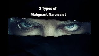 3 Types of Malignant Narcissist Grandiose Covert Borderline [upl. by Neslund]