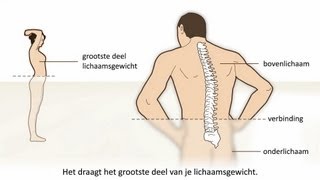 Lage rugpijn  Soorten en oorzaak [upl. by Amir301]