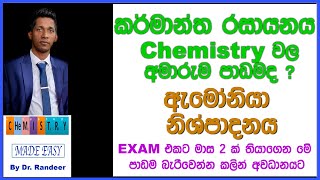 ඇමෝනියා නිශ්පාදනය හේබර් ක්‍රමය  Industrial Chemistry  කර්මාන්ත රසායනය  AL Chemistry In Sinhala [upl. by Oetomit598]