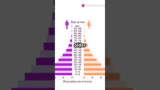 population pyramid explained educational education ytshorts shorts [upl. by Xylina]