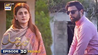 New Noor Jahan Episode 30  Promo  ARY Digital [upl. by Oiratnom]