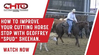 How To Improve Your Cutting Horse Stop With Geoffrey quotSpudquot Sheehan [upl. by Linzer]