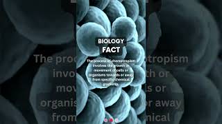 Chemotropism  biologyfacts biology sciencefacts science [upl. by Lucic]