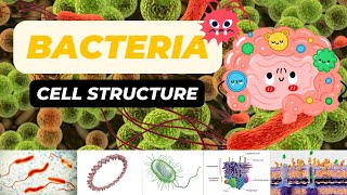 Bacterial Cell Structure [upl. by Rother]