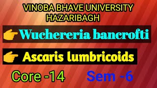 Wuchereria bancroftiAscaris lumbricoidsBSc 3rd yearwith proper notes [upl. by Bandler]