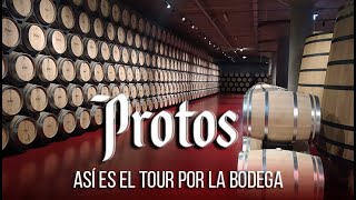 Así es el tour por la Bodega Protos en Ribera del Duero España [upl. by Dadelos]