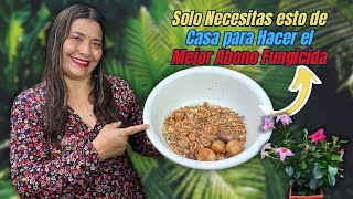 Abono y Fungicida Casero para Plantas Hermosas y Saludables Un Tesoro En Casa [upl. by Fronniah129]