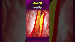 తోటకూరతో గుండె ఆరోగ్యంshorts healthbenefits healthcare hmtvhealthplus [upl. by Georgetta150]