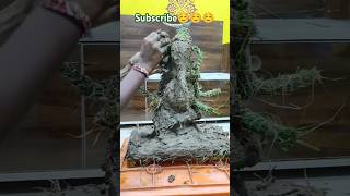 Ganesh making with durva grass ganesh making durva grass vinayak shorts ecofriendly 2024 yt [upl. by Aihsoj]