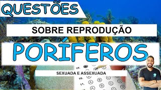 PORÍFEROS Questões sobre REPRODUÇÃO  SEXUADA E ASSEXUADA I Prof Michael Bryan [upl. by Rick]