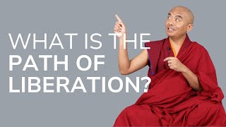 What Is the Path of Liberation — Mingyur Rinpoche [upl. by Uella]