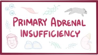 Primary adrenal insufficiency Addisons disease  pathology symptoms diagnosis treatment [upl. by Nyrehtak]