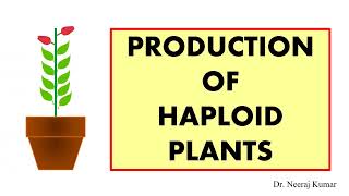 Production of male and female haploid plants  Anther Pollen Ovary and Ovule culture [upl. by Gauthier766]