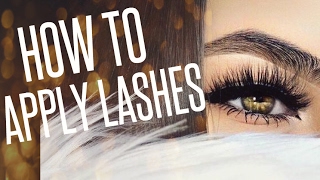 How to APPLY FAKE EYELASHES onto your photos TUTORIAL [upl. by Eirallih648]