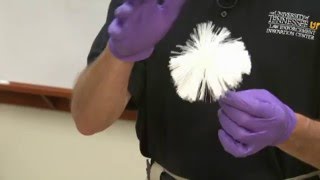 How to Process Latent Fingerprints Using NonMagnetic Powder [upl. by Seitz]