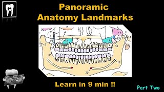 Panoramic Radiography landmarkOrthopantomogramOPGAnatomical LandmarkDental ExamDental Radiology [upl. by Atauqal]